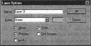   Layer Options ( )